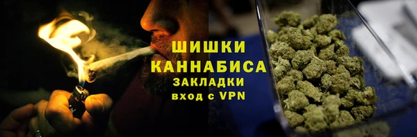 прущие грибы Алексин
