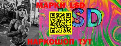 СК Бердск
