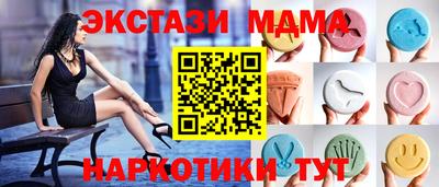 СК Бердск