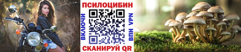 kraken зеркало  Находка  Галлюциногенные грибы прущие грибы 