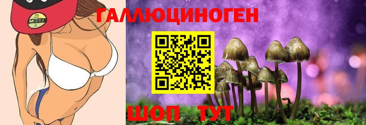 Находка  Псилоцибиновые грибы ЛСД  Вход с VPN  Галлюциногенные грибы Psilocybine cubensis 